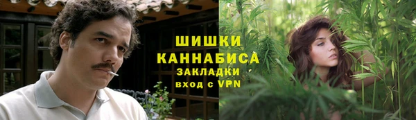стаф Балахна